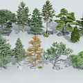 Diverse Landscape Tree Species With Various Foliage Shapes And Trunk Forms 3d model