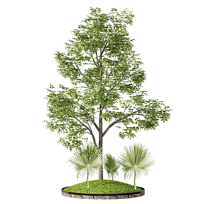 Tall Arbor with Lush Green Foliage and Surrounding Palm Plants in Natural Setting 3d model