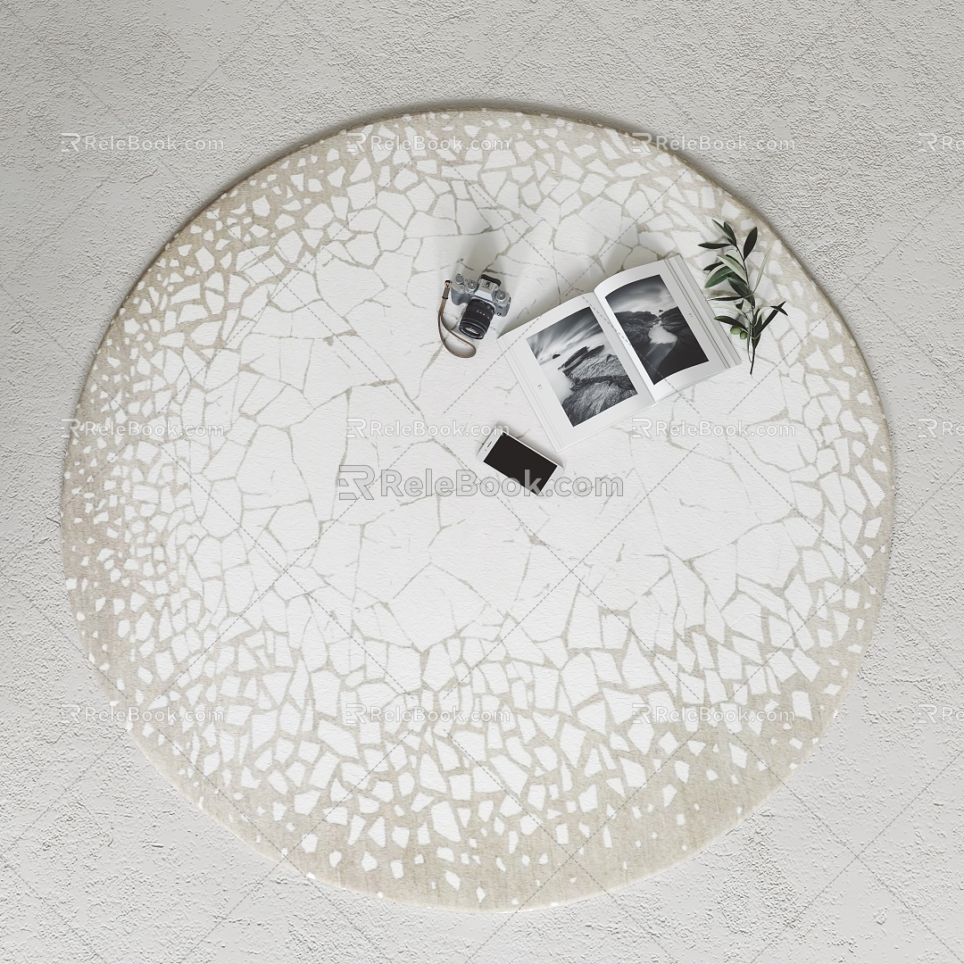 Modern Round Carpet Carpet 3d model