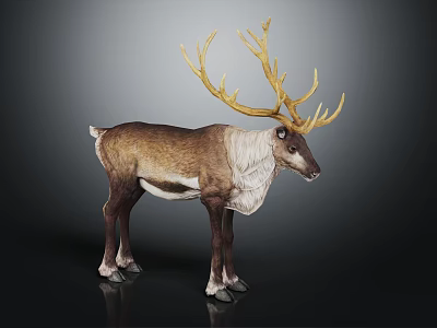 Brown And White Reindeer With Large Golden Antlers Standing On Dark Background 3d model