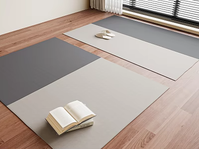 Beige And Gray Square Rugs On Wooden Floor With Book And Slippers 3d model