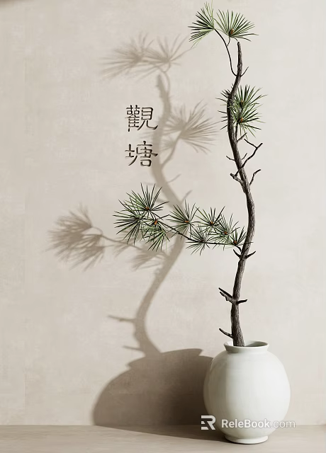 Pine Tree Branch in Ceramic Vase with Shadow on Beige Wall Interior Decor 3d model