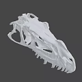Detailed Dinosaur Skull Fossil With Anatomical Skeletal Structure On Gray Background