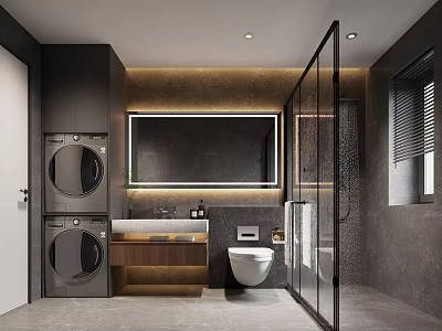 Modern Bathroom Layout With Washing Machine Toilet And Glass Shower 3d model