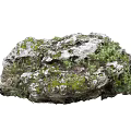 Natural Stone And Wood With Mossy Surface And Small Green Plants