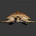 Decorative Sea Turtle Figurine With Orange Brown Patterned Carapace And Spotted Limbs On Black Background