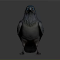 Realistic Blue Gray Crow With Blue Eyes Standing Against Dark Background