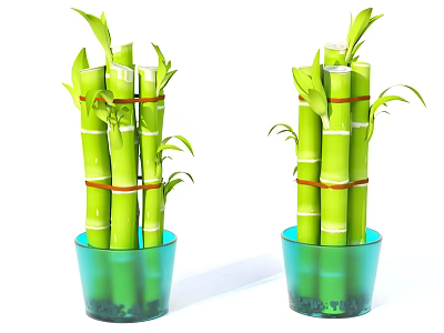 Bonsai Potted Lucky Bamboo Plant With Green Stems Red Straps And Blue Glass Pot 3d model