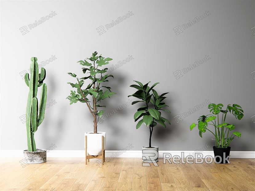 Nordic Potted Plant Indoor Plant Potted Plant model