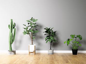 Nordic Potted Plant Indoor Plant Potted Plant 3d model