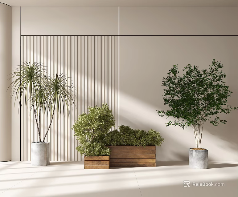 Bonsai Potted Plants Display With Tall Green Foliage And Small Shrubs In Modern Interior 3d model 