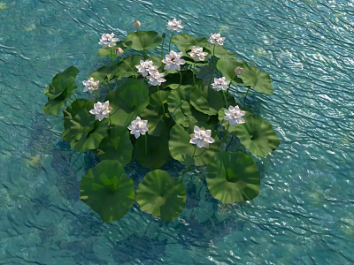 Water Surface With Green Floating Lotus Leaves And White Lotus Flowers 3d model