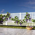 Grape Arbor With White Lattice Fence Purple Grapes And Wicker Basket