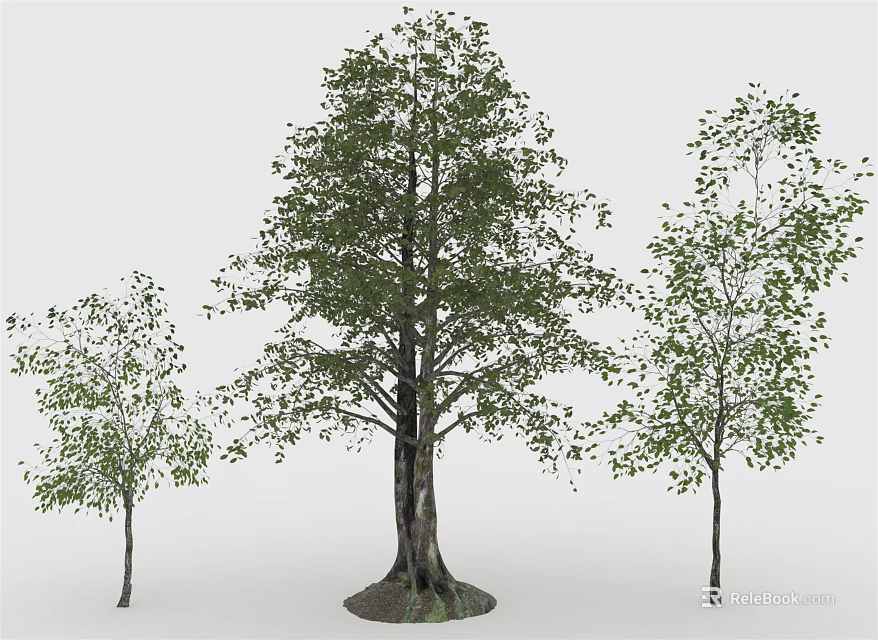 Three Trees Featuring One Large And Two Smaller With Lush Green Leaves And Sturdy Trunks 3d model 