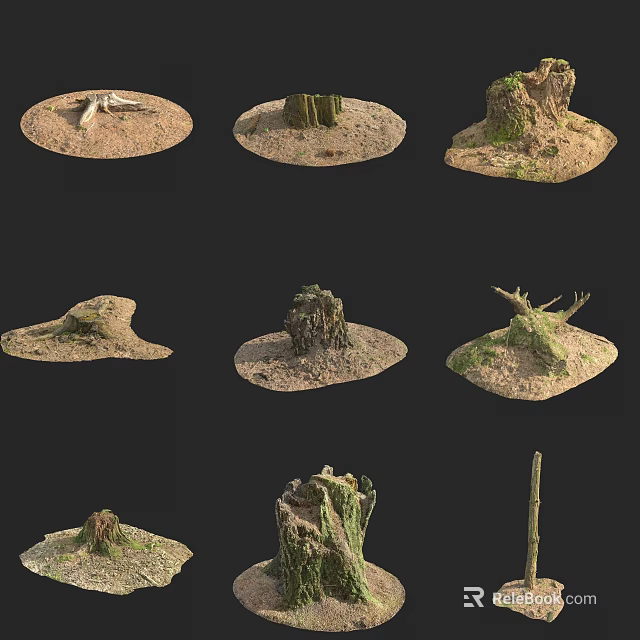 Natural Tree Stumps With Various Shapes And Textures On Sandy Ground 3d model