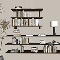 Quiet bookshelf books 3d model