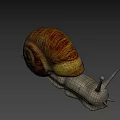 Small Snail With Brown Yellow Shell And Gray Body On Blurred Background