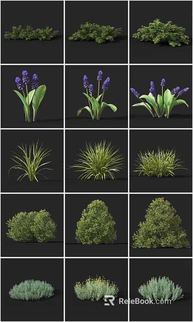 Different Varieties of Garden Shrubs with Green Leaves Purple Flowers and Various Shapes 3d model 