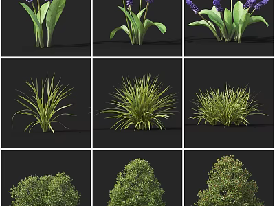 Different Varieties of Garden Shrubs with Green Leaves Purple Flowers and Various Shapes 3d model