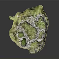 Wooden and Stone Shell Shaped Decor with Intricate Stone Path and Lush Green Moss