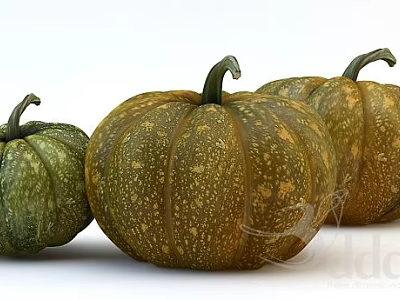 Fresh Vegetable Pumpkins in Three Sizes with Green and Yellow Speckled Skin 3d model