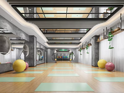 Spacious Fitness Studio With Yoga Mats And Exercise Balls 3d model