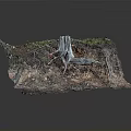 Natural Forest Floor Scene With Tree Stump Exposed Roots Soil And Vegetation