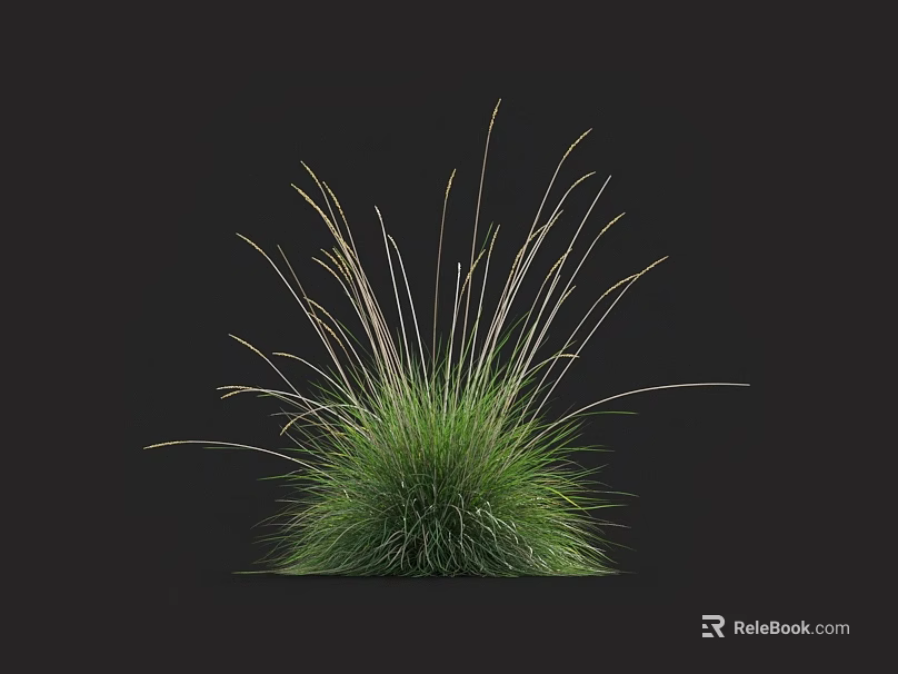 Green Grass Displaying Slender Leaves and Rounded Shape Against Black Background 3d model 