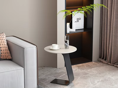 Modern Minimalist Side Table With Cup Vase And Plant Near Sofa And Shelf 3d model