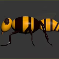 Yellow And Black Bee 3D Model As Flying Insect With Striped Body And Transparent Wings