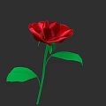 Vibrant Red Rose With Green Stem And Leaves On Dark Background