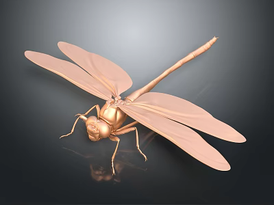Detailed Copper Colored Dragonfly With Transparent Wings On Dark Background Showing Reflection 3d model