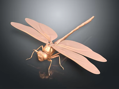 Detailed Copper Colored Dragonfly With Transparent Wings On Dark Background Showing Reflection 3d model