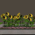 Vibrant yellow sunflowers with green leaves and pink flowers on brick floor against gray wall
