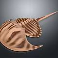 Detailed Horseshoe Crab Close Up View With Brown Striped Shell And Long Tail