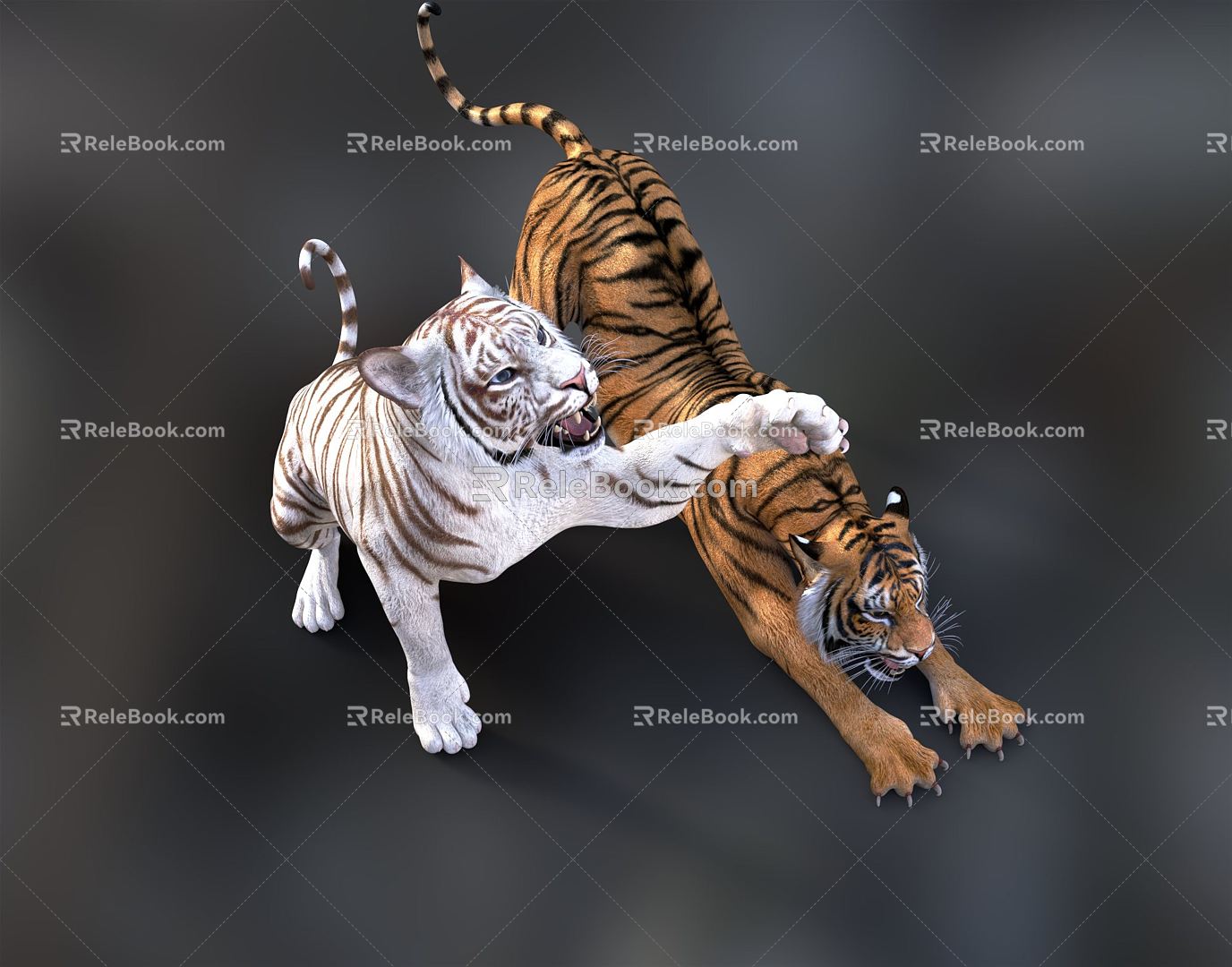 Modern Tiger White Tiger 3d model