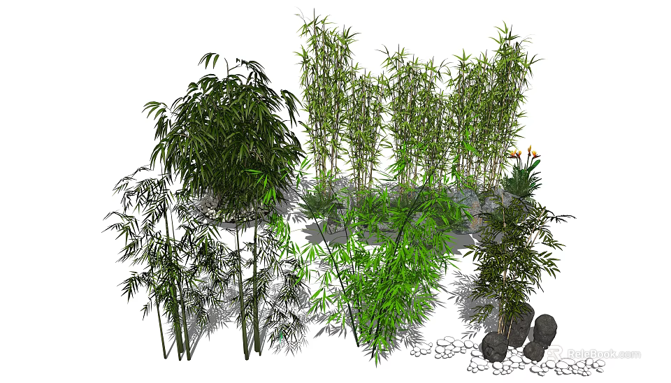 Various Bamboo Species In Natural Garden With Green Foliage And Stone Decorations 3d model 