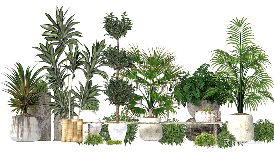 Various Bonsai Potted Plants with Stylish Planters for Indoor Home Decor 3d model 