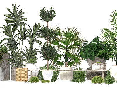 Various Bonsai Potted Plants with Stylish Planters for Indoor Home Decor 3d model