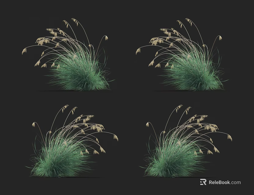 Green Grass with White Spiky Flowers Against Black Background Natural Lush Foliage 3d model 
