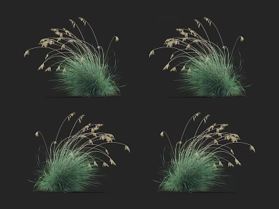 Green Grass with White Spiky Flowers Against Black Background Natural Lush Foliage 3d model