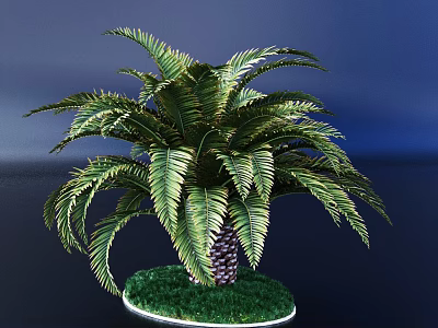 Lush Green Palm Tree with Feathery Fronds on Grassy Circular Base Against Dark Blue Background 3d model