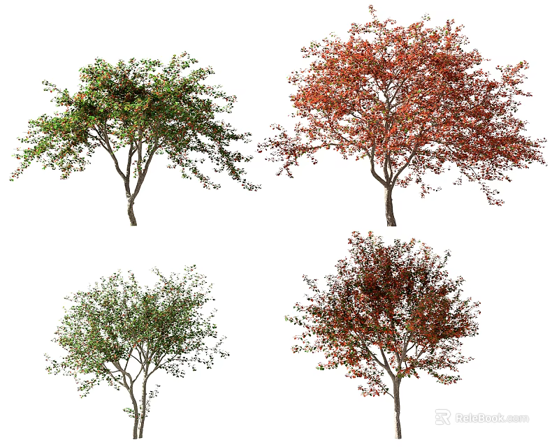 Various Deciduous Trees with Green Red and Brown Foliage for Landscaping 3d model 