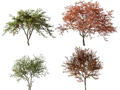 Various Deciduous Trees with Green Red and Brown Foliage for Landscaping 3d model