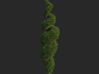 Elegant Trimmed Spiral Arbor With Lush Green Foliage In Garden Landscape 3d model