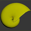 Nautilus Shell With Orange And White Stripes In Spiral Shape On Dark Background