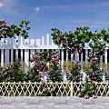 Climbing Vines With Pink Flowers Covering White Picket Fence In Outdoor Garden Space