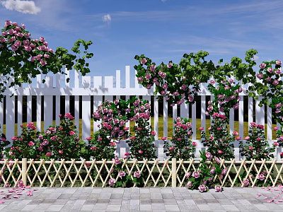 Climbing Vines With Pink Flowers Covering White Picket Fence In Outdoor Garden Space 3d model