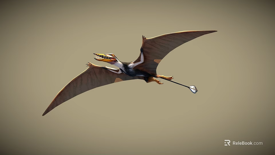 Flying Pterosaur With Extended Wings Long Tail And Colorful Head In Flight 3d model 