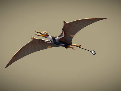 Flying Pterosaur With Extended Wings Long Tail And Colorful Head In Flight 3d model